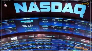 تطور جديد يمهد للطرح.. جيميناي تتلقى استثمارًا استراتيجيًا من ناسداك العالمية هل اقتربت من دخول البورصة؟ 1